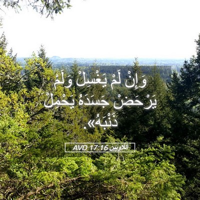 Picture 05 - اَللَّاوِيِّينَ 17:16 AVD - وَإِنْ لَمْ يَغْسِلْ - Bible Verse Picture
