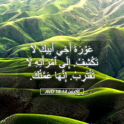 Picture 05 - اَللَّاوِيِّينَ 18:14 AVD - عَوْرَةَ أَخِي أَبِيكَ لَا - Bible Verse Picture