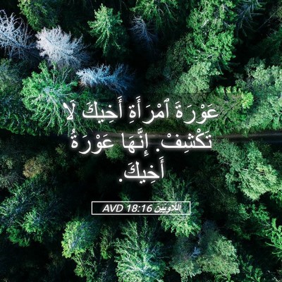 Picture 05 - اَللَّاوِيِّينَ 18:16 AVD - عَوْرَةَ ٱمْرَأَةِ - Bible Verse Picture