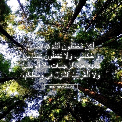 Picture 05 - اَللَّاوِيِّينَ 18:26 AVD - لَكِنْ تَحْفَظُونَ - Bible Verse Picture