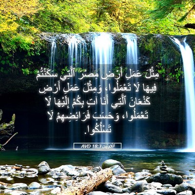 Picture 05 - اَللَّاوِيِّينَ 18:3 AVD - مِثْلَ عَمَلِ أَرْضِ - Bible Verse Picture