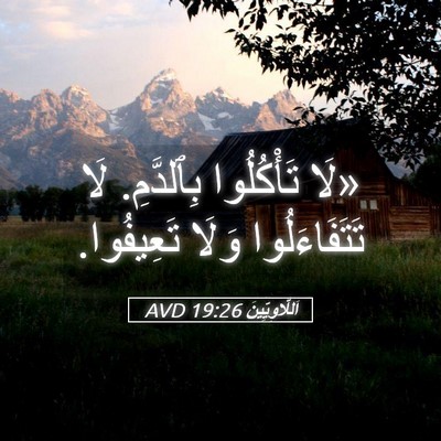 Picture 05 - اَللَّاوِيِّينَ 19:26 AVD - «لَا تَأْكُلُوا بِٱلدَّمِ. - Bible Verse Picture