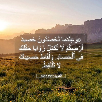 Picture 05 - اَللَّاوِيِّينَ 19:9 AVD - «وَعِنْدَمَا تَحْصُدُونَ - Bible Verse Picture