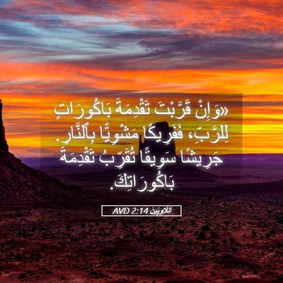 Picture 05 - اَللَّاوِيِّينَ 2:14 AVD - «وَإِنْ قَرَّبْتَ - Bible Verse Picture