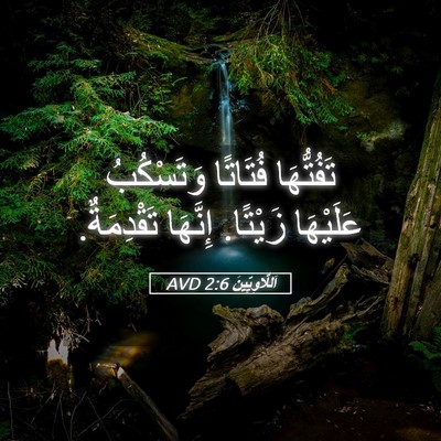 Picture 05 - اَللَّاوِيِّينَ 2:6 AVD - تَفُتُّهَا فُتَاتًا - Bible Verse Picture
