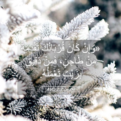 Picture 05 - اَللَّاوِيِّينَ 2:7 AVD - «وَإِنْ كَانَ قُرْبَانُكَ - Bible Verse Picture