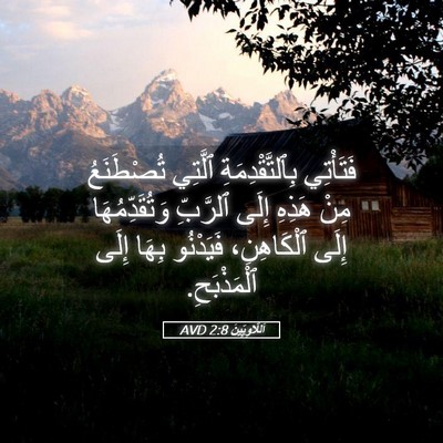 Picture 05 - اَللَّاوِيِّينَ 2:8 AVD - فَتَأْتِي بِٱلتَّقْدِمَةِ - Bible Verse Picture
