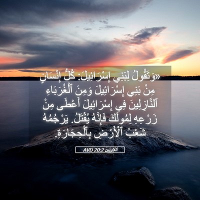 Picture 05 - اَللَّاوِيِّينَ 20:2 AVD - «وَتَقُولُ لِبَنِي - Bible Verse Picture