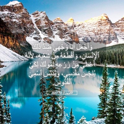 Picture 05 - اَللَّاوِيِّينَ 20:3 AVD - وَأَجْعَلُ أَنَا وَجْهِي - Bible Verse Picture