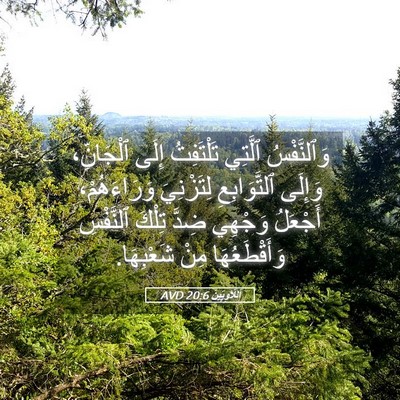 Picture 05 - اَللَّاوِيِّينَ 20:6 AVD - وَٱلنَّفْسُ ٱلَّتِي - Bible Verse Picture