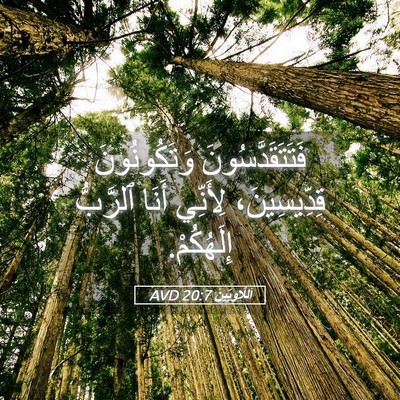 Picture 05 - اَللَّاوِيِّينَ 20:7 AVD - فَتَتَقَدَّسُونَ - Bible Verse Picture