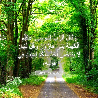 Picture 05 - اَللَّاوِيِّينَ 21:1 AVD - وَقَالَ ٱلرَّبُّ لِمُوسَى: - Bible Verse Picture