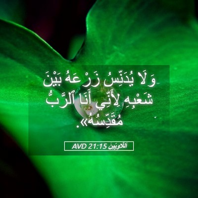 Picture 05 - اَللَّاوِيِّينَ 21:15 AVD - وَلَا يُدَنِّسُ زَرْعَهُ - Bible Verse Picture