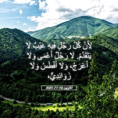 Picture 05 - اَللَّاوِيِّينَ 21:18 AVD - لِأَنَّ كُلَّ رَجُلٍ فِيهِ - Bible Verse Picture