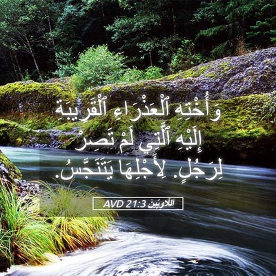Picture 05 - اَللَّاوِيِّينَ 21:3 AVD - وَأُخْتِهِ ٱلْعَذْرَاءِ - Bible Verse Picture
