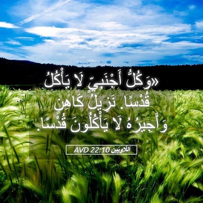 Picture 05 - اَللَّاوِيِّينَ 22:10 AVD - «وَكُلُّ أَجْنَبِيٍّ لَا - Bible Verse Picture