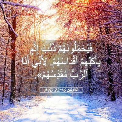 Picture 05 - اَللَّاوِيِّينَ 22:16 AVD - فَيُحَمِّلُونَهُمْ ذَنْبَ - Bible Verse Picture