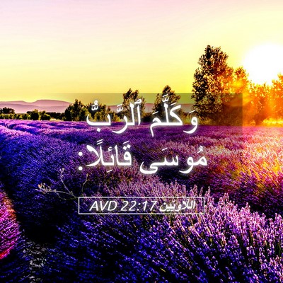 Picture 05 - اَللَّاوِيِّينَ 22:17 AVD - وَكَلَّمَ ٱلرَّبُّ مُوسَى - Bible Verse Picture