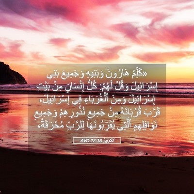 Picture 05 - اَللَّاوِيِّينَ 22:18 AVD - «كَلِّمْ هَارُونَ - Bible Verse Picture