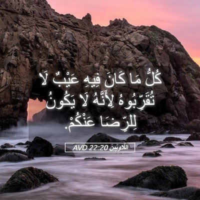 Picture 05 - اَللَّاوِيِّينَ 22:20 AVD - كُلُّ مَا كَانَ فِيهِ - Bible Verse Picture