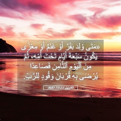 Picture 05 - اَللَّاوِيِّينَ 22:27 AVD - «مَتَى وُلِدَ بَقَرٌ أَوْ - Bible Verse Picture