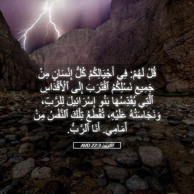 Picture 05 - اَللَّاوِيِّينَ 22:3 AVD - قُلْ لَهُمْ: فِي - Bible Verse Picture
