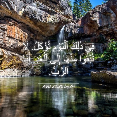 Picture 05 - اَللَّاوِيِّينَ 22:30 AVD - فِي ذَلِكَ ٱلْيَوْمِ - Bible Verse Picture