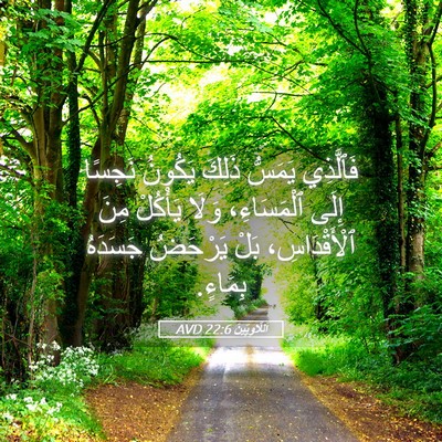 Picture 05 - اَللَّاوِيِّينَ 22:6 AVD - فَٱلَّذِي يَمَسُّ ذَلِكَ - Bible Verse Picture