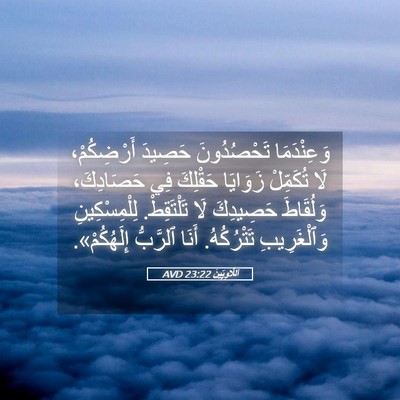 Picture 05 - اَللَّاوِيِّينَ 23:22 AVD - وَعِنْدَمَا تَحْصُدُونَ - Bible Verse Picture