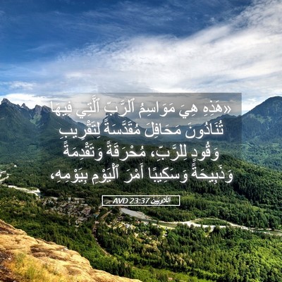 Picture 05 - اَللَّاوِيِّينَ 23:37 AVD - «هَذِهِ هِيَ مَوَاسِمُ - Bible Verse Picture
