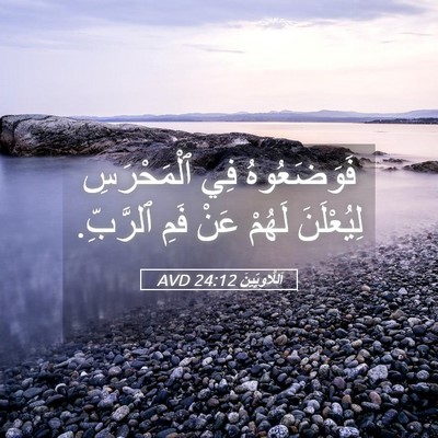 Picture 05 - اَللَّاوِيِّينَ 24:12 AVD - فَوَضَعُوهُ فِي - Bible Verse Picture