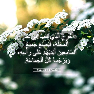 Picture 05 - اَللَّاوِيِّينَ 24:14 AVD - «أَخْرِجِ ٱلَّذِي سَبَّ - Bible Verse Picture