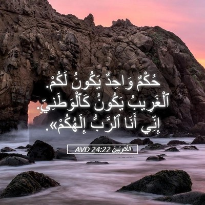 Picture 05 - اَللَّاوِيِّينَ 24:22 AVD - حُكْمٌ وَاحِدٌ يَكُونُ - Bible Verse Picture