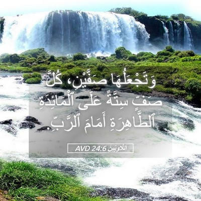 Picture 05 - اَللَّاوِيِّينَ 24:6 AVD - وَتَجْعَلُهَا صَفَّيْنِ، - Bible Verse Picture