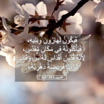 Picture 05 - اَللَّاوِيِّينَ 24:9 AVD - فَيَكُونُ لِهَارُونَ - Bible Verse Picture