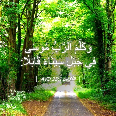 Picture 05 - اَللَّاوِيِّينَ 25:1 AVD - وَكَلَّمَ ٱلرَّبُّ مُوسَى - Bible Verse Picture