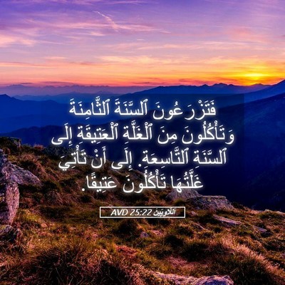 Picture 05 - اَللَّاوِيِّينَ 25:22 AVD - فَتَزْرَعُونَ ٱلسَّنَةَ - Bible Verse Picture