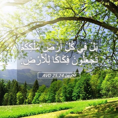 Picture 05 - اَللَّاوِيِّينَ 25:24 AVD - بَلْ فِي كُلِّ أَرْضِ - Bible Verse Picture
