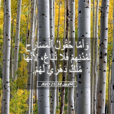 Picture 05 - اَللَّاوِيِّينَ 25:34 AVD - وَأَمَّا حُقُولُ - Bible Verse Picture
