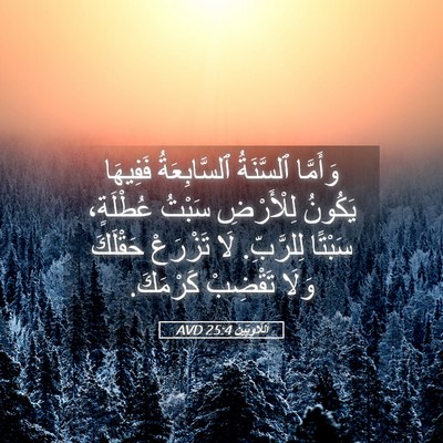 Picture 05 - اَللَّاوِيِّينَ 25:4 AVD - وَأَمَّا ٱلسَّنَةُ - Bible Verse Picture