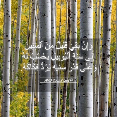 Picture 05 - اَللَّاوِيِّينَ 25:52 AVD - وَإِنْ بَقِيَ قَلِيلٌ مِنَ - Bible Verse Picture