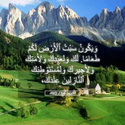 Picture 05 - اَللَّاوِيِّينَ 25:6 AVD - وَيَكُونُ سَبْتُ - Bible Verse Picture