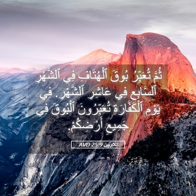 Picture 05 - اَللَّاوِيِّينَ 25:9 AVD - ثُمَّ تُعَبِّرُ بُوقَ - Bible Verse Picture
