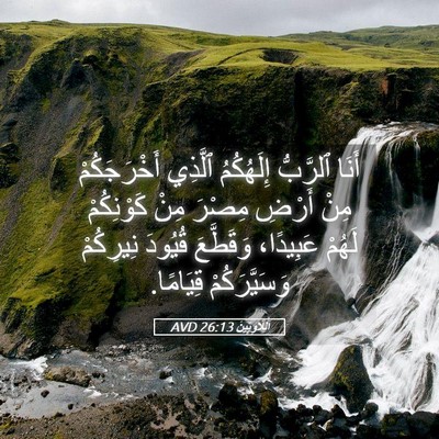 Picture 05 - اَللَّاوِيِّينَ 26:13 AVD - أَنَا ٱلرَّبُّ إِلَهُكُمُ - Bible Verse Picture