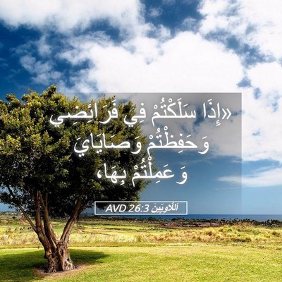 Picture 05 - اَللَّاوِيِّينَ 26:3 AVD - «إِذَا سَلَكْتُمْ فِي - Bible Verse Picture