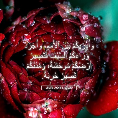 Picture 05 - اَللَّاوِيِّينَ 26:33 AVD - وَأُذَرِّيكُمْ بَيْنَ - Bible Verse Picture