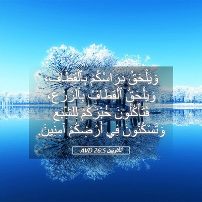 Picture 05 - اَللَّاوِيِّينَ 26:5 AVD - وَيَلْحَقُ دِرَاسُكُمْ - Bible Verse Picture