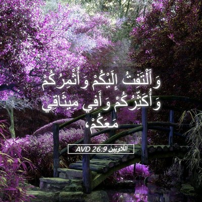 Picture 05 - اَللَّاوِيِّينَ 26:9 AVD - وَأَلْتَفِتُ إِلَيْكُمْ - Bible Verse Picture