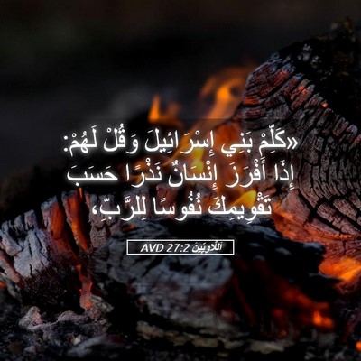 Picture 05 - اَللَّاوِيِّينَ 27:2 AVD - «كَلِّمْ بَنِي - Bible Verse Picture