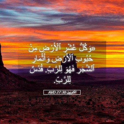 Picture 05 - اَللَّاوِيِّينَ 27:30 AVD - «وَكُلُّ عُشْرِ ٱلْأَرْضِ - Bible Verse Picture